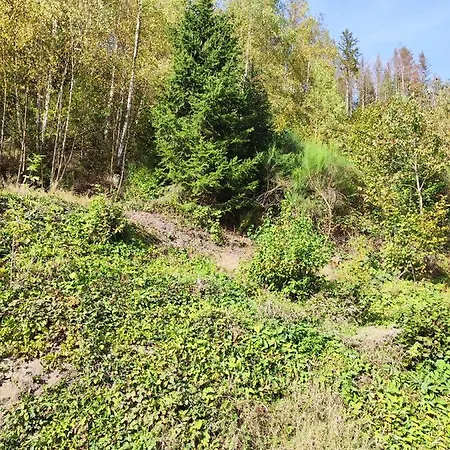 Wohlfuehloase Eifelsteig
