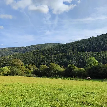 Holiday home Wohlfuehloase Eifelsteig