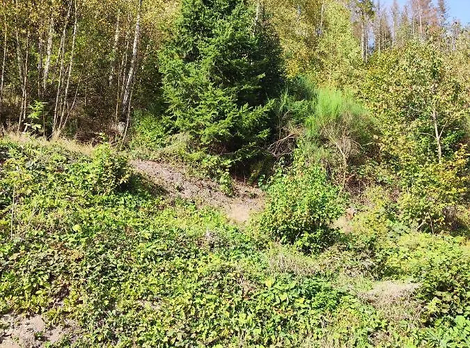 Wohlfuehloase Eifelsteig