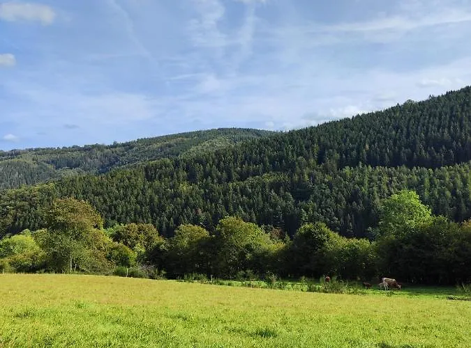 Hébergement de vacances Wohlfuehloase Eifelsteig